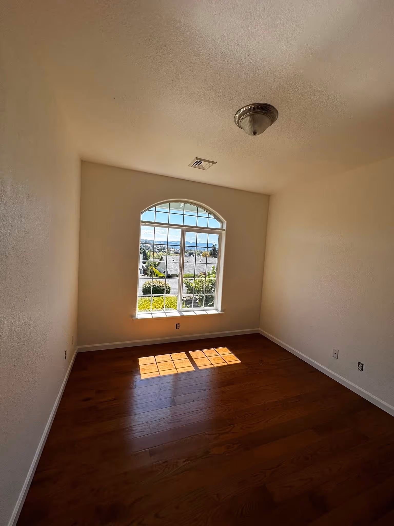 Empty room with wood floor, beige walls, arched window casting sunlight on the floor.