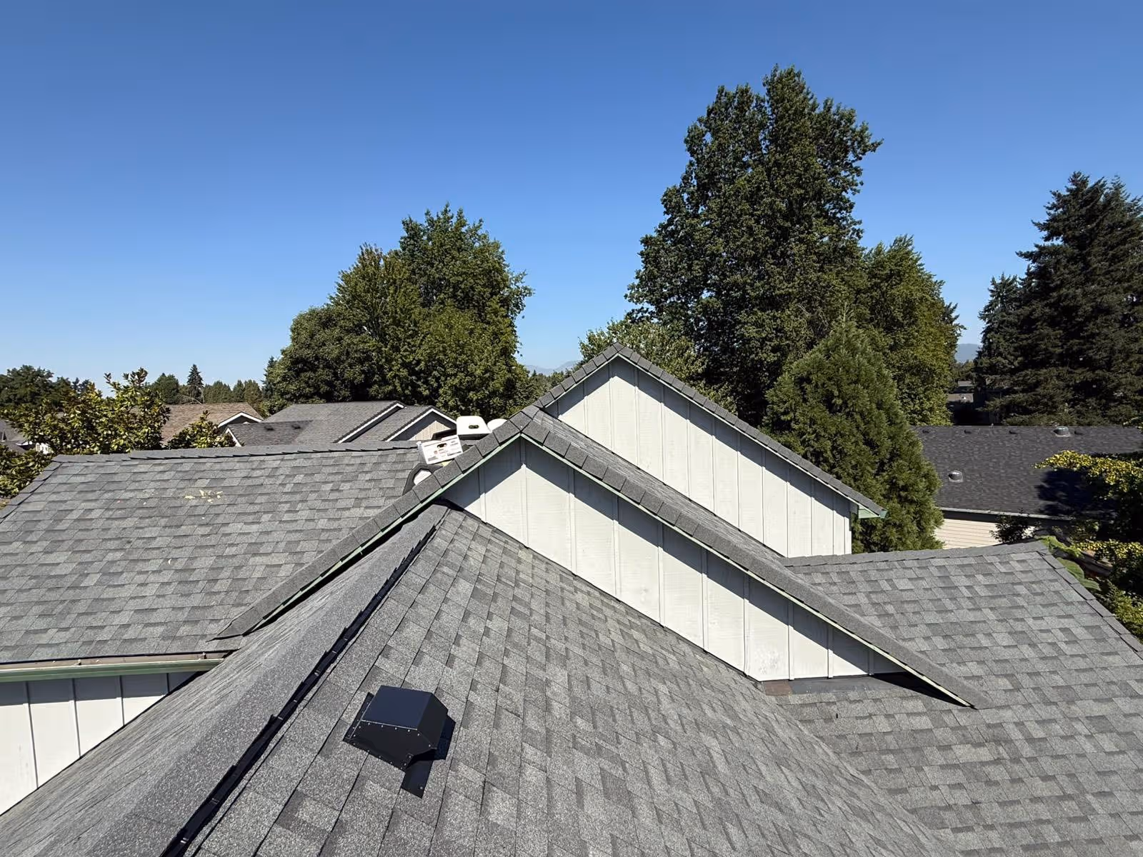 Grey shingled rooftops of suburban houses with tall green trees under a clear blue sky.