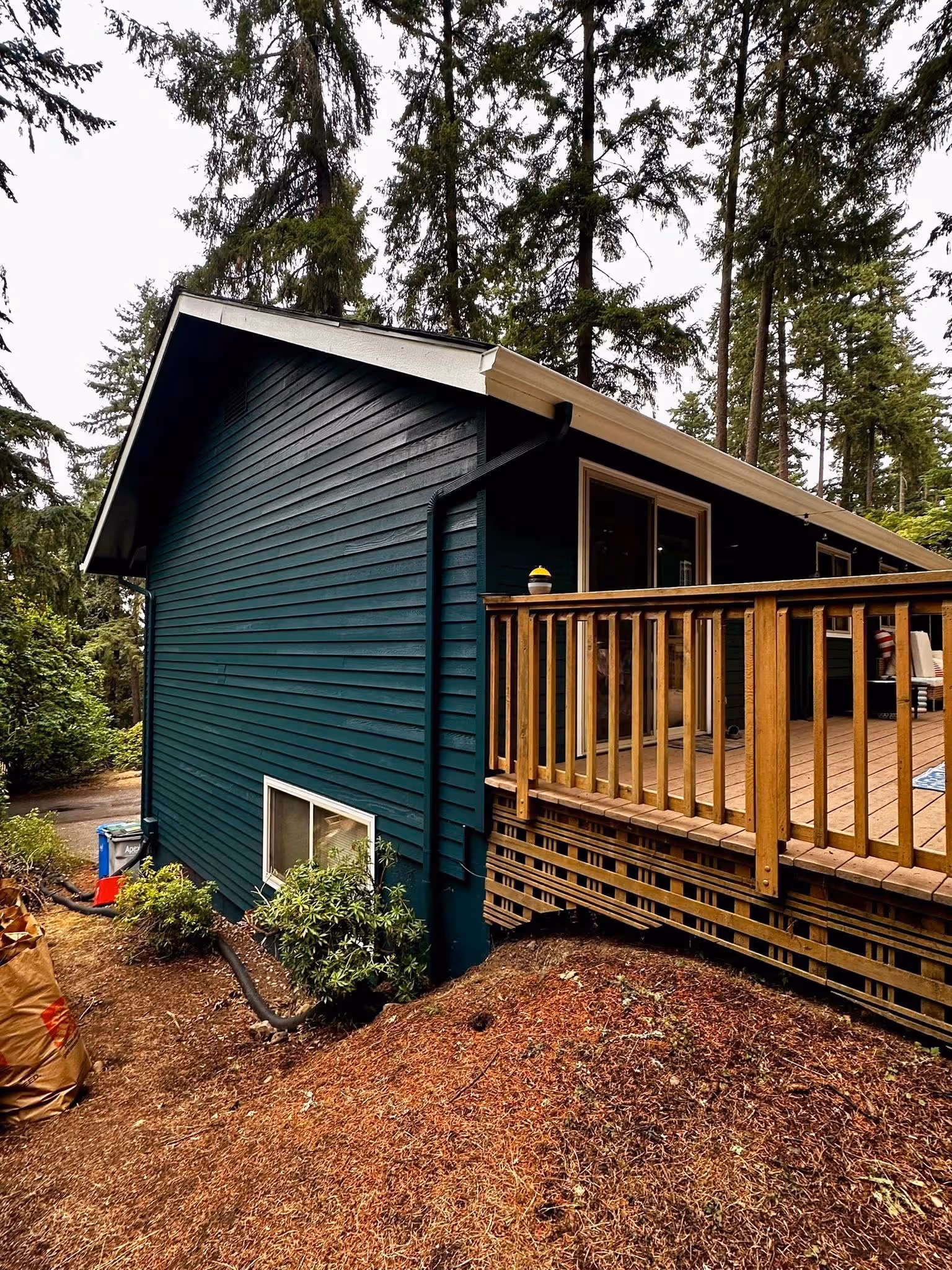 Dark teal house with white trim, wooden deck, surrounded by tall pine trees and dry ground.