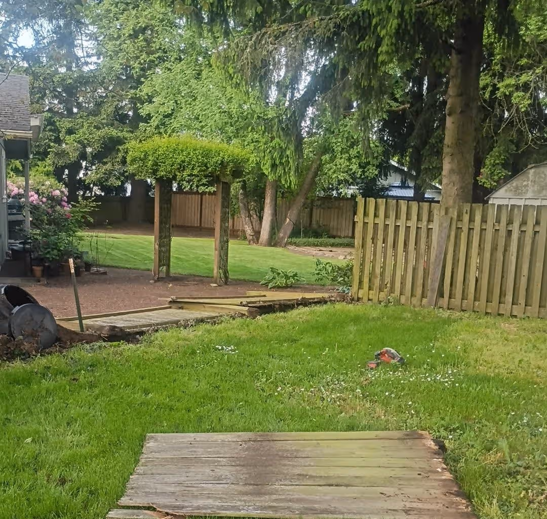 Backyard with green lawn, wooden fence, a pergola with green leaves, and scattered wooden planks.